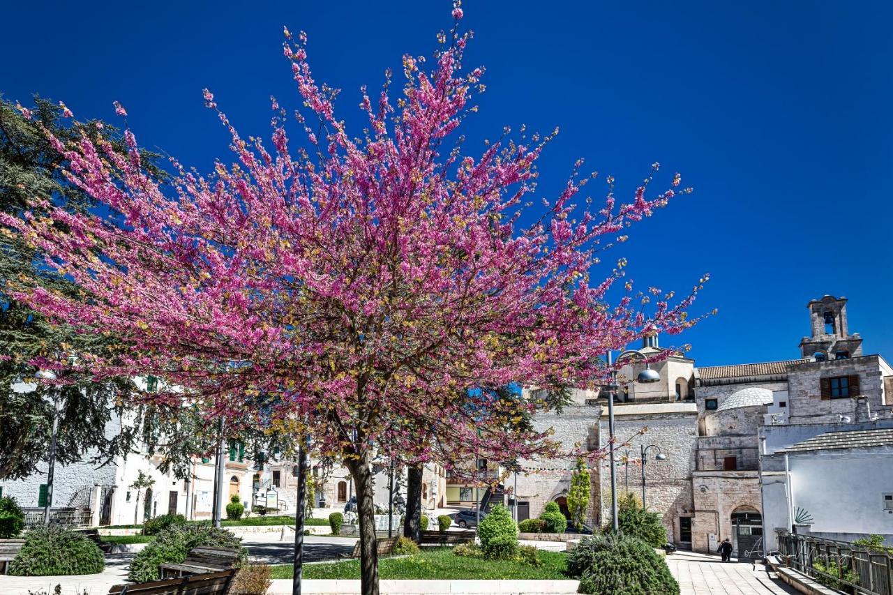 Appartamento Bomboniera di Cisternino Esterno foto